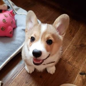 Meet your Posher, Anastasia